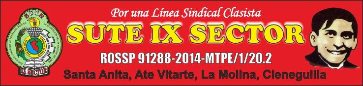 SUTE IX SECTOR - ROSSS 91288-2014