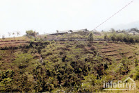 Tanah luas di Cibiru Bandung dijual Info Griya Tanah luas di Cibiru Bandung dijual Info Griya