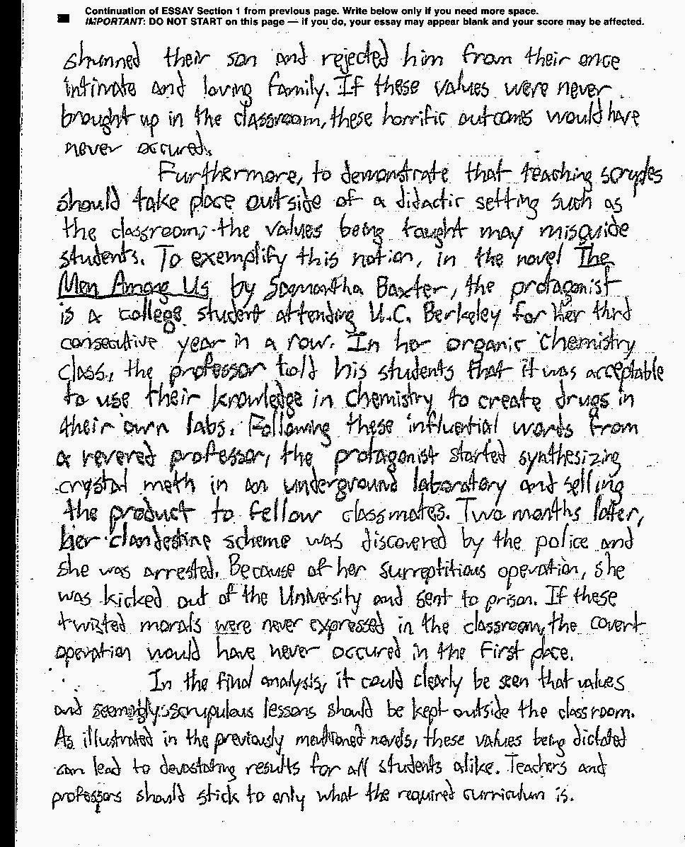 Country lovers essay image