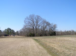 Graves of Zachariah & Patrick Butler