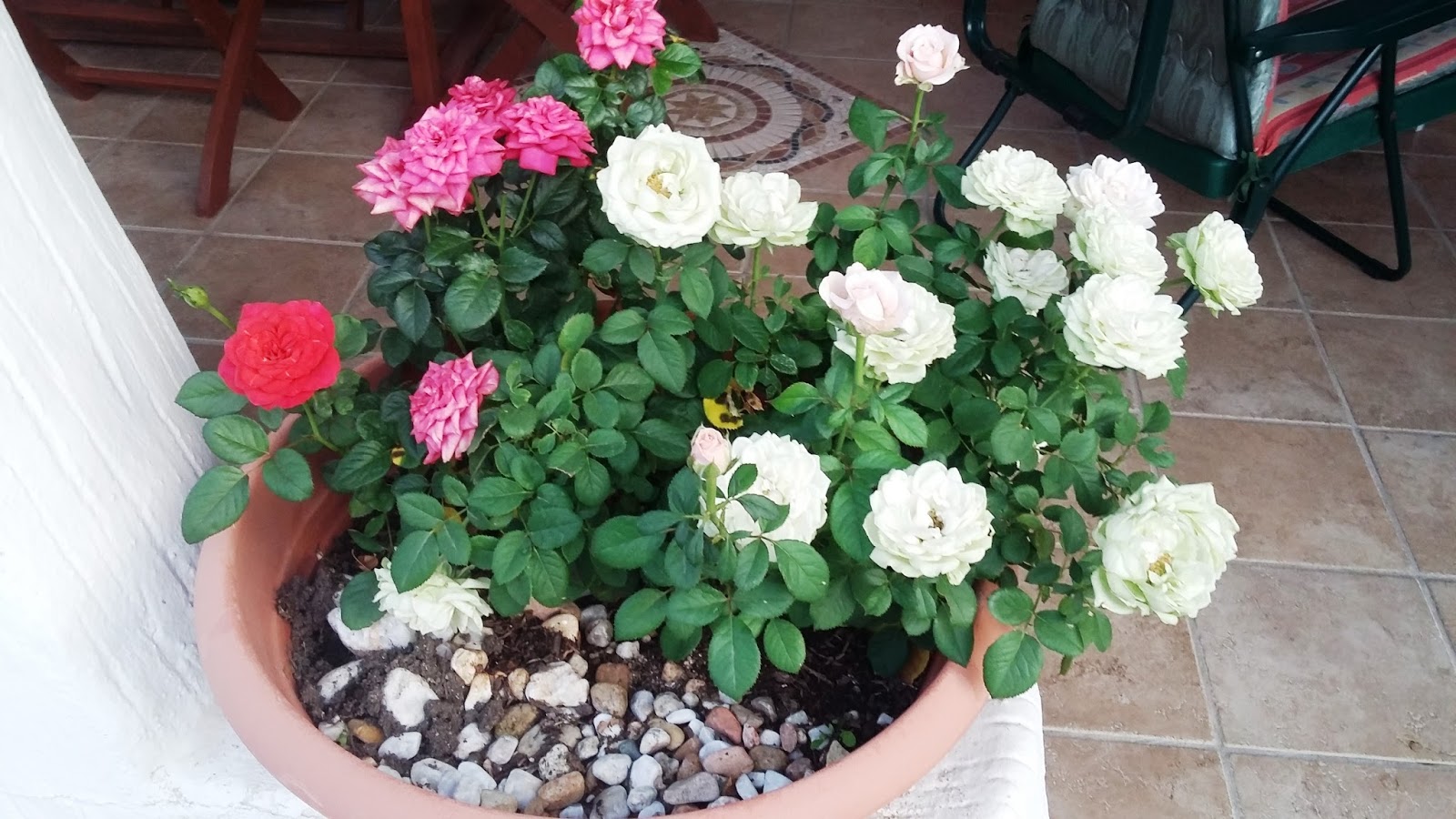 Leggere E Scrivere Eugenio Montale Felicita Raggiunta Si Cammina