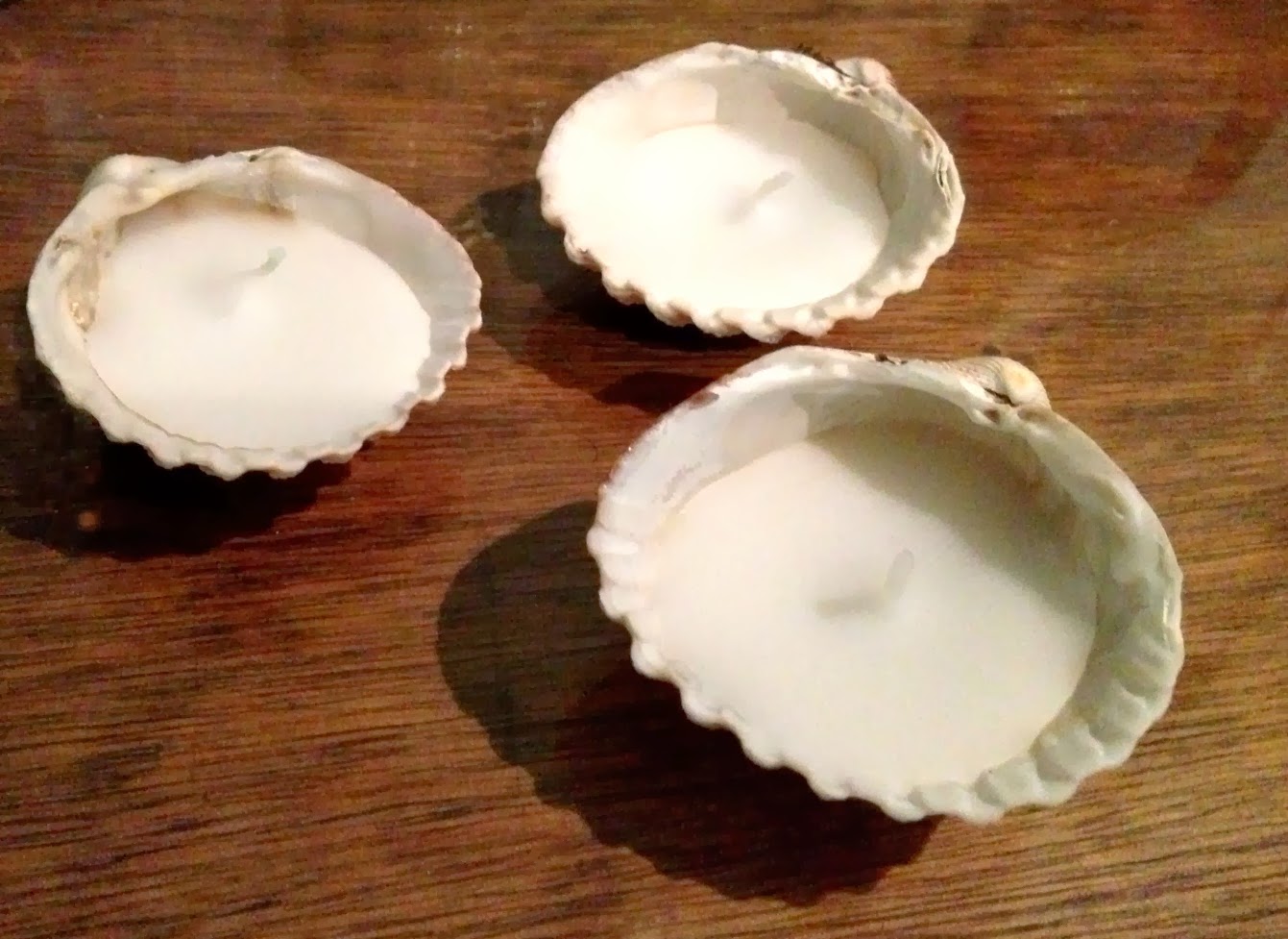 How to make candles in sea shells