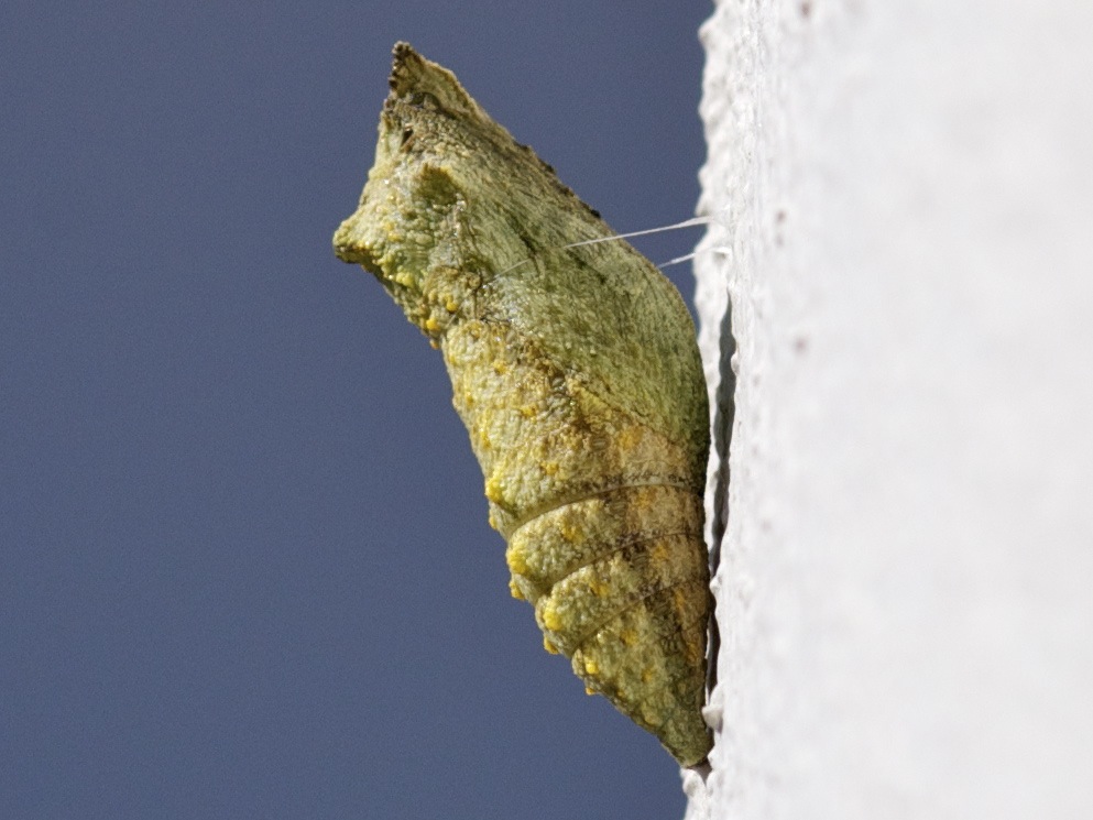 [verlinkte Grafik wurde nicht gefunden]