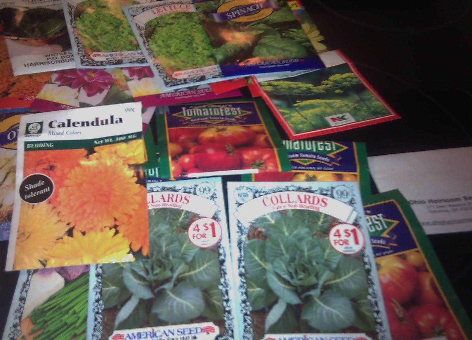 Winter Sowing Vegetable Seeds mother2motherblog