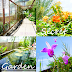 Rooftop Secret Garden @ 1 Utama