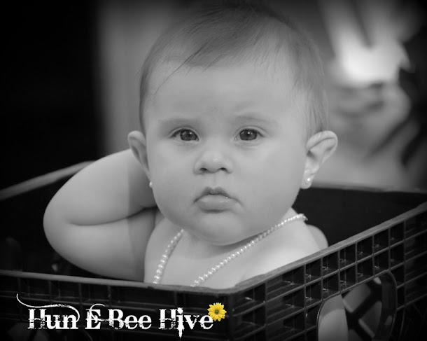 Hun E Bee Hive