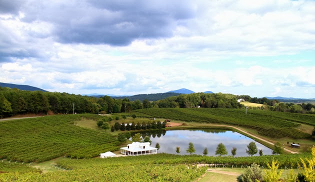 dahlonega frogtown cellars vineyard winery georgia mountains
