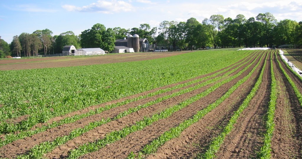 Appleton Farms Blog Cultivation mania!