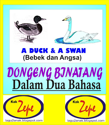 Swan%2BDuck.jpg