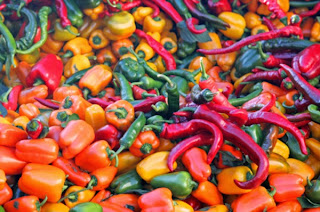 How to Starting Hot Pepper Farming Business