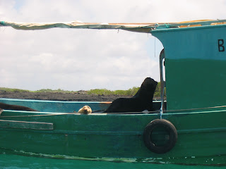 San Cristobal Galapagos Islands