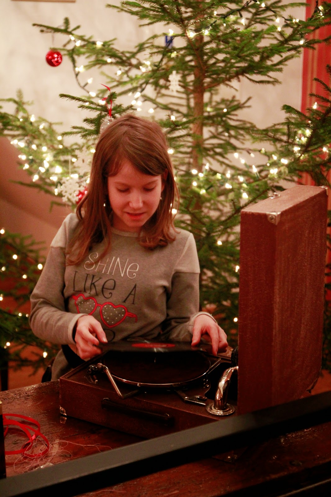 Gwiazdka w Puszczy - Ania w Podróży