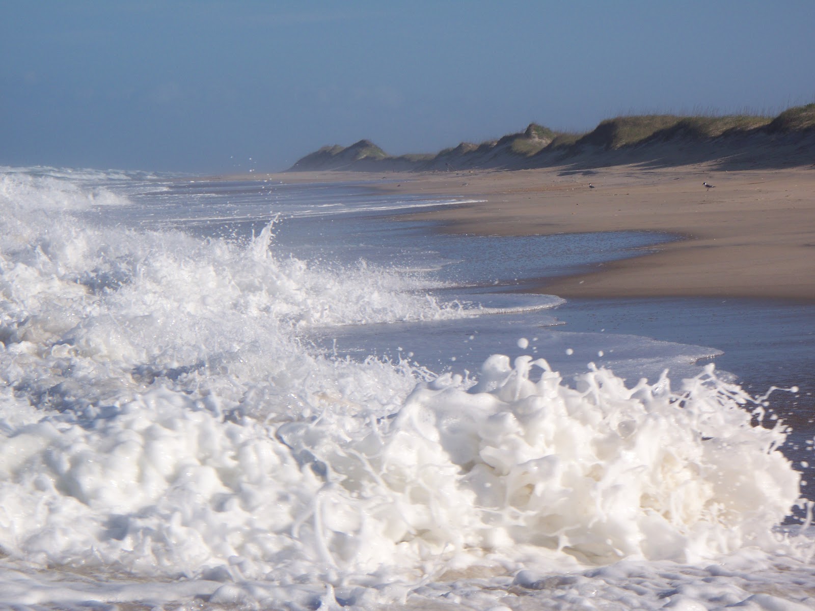 Lost in Wonder, Love and Praise Cape Hatteras National Seashore 2012