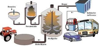 Generación del biogas