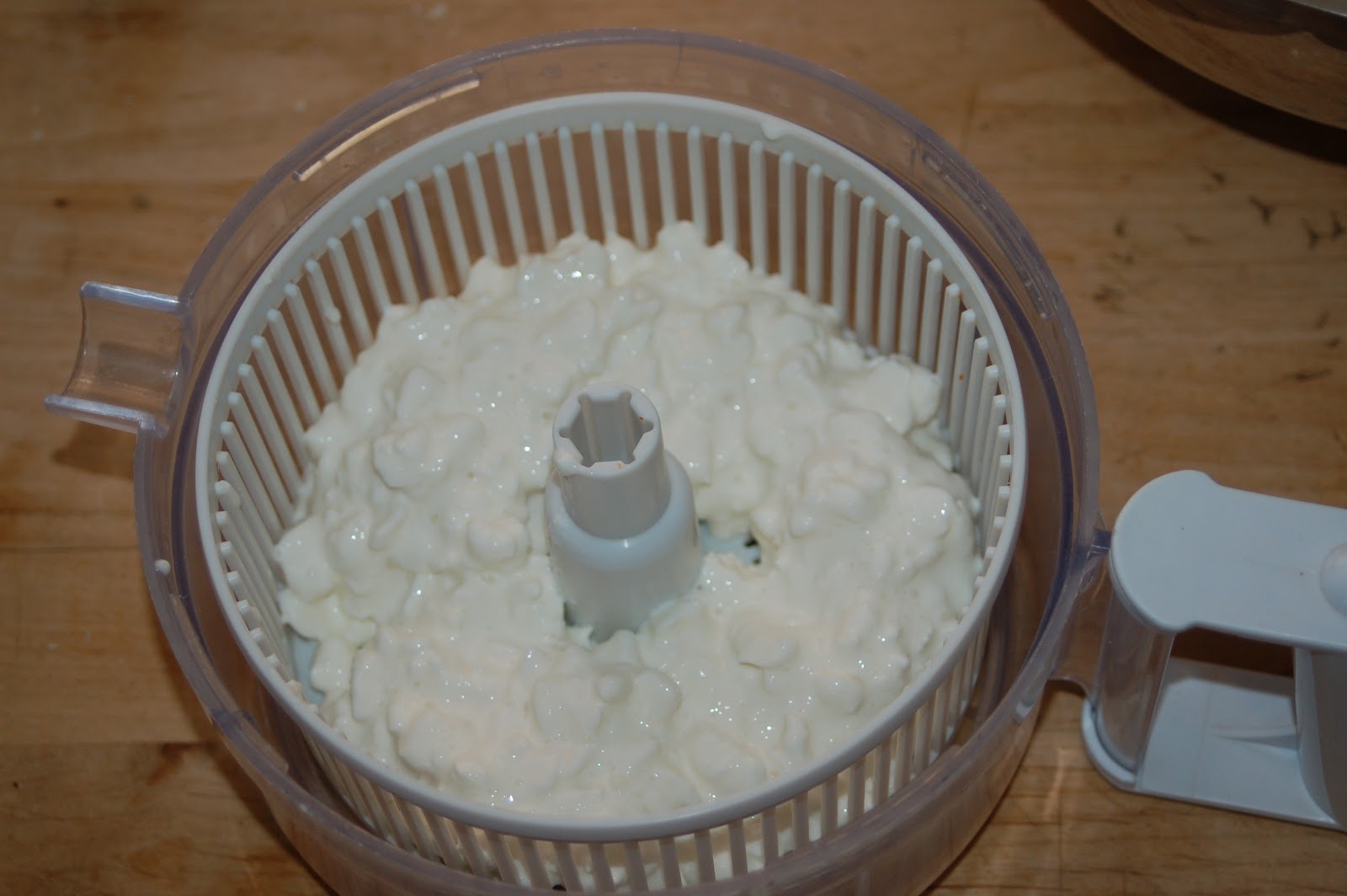 Dehydrating Way Beyond Jerky Cottage Cheese Revisited