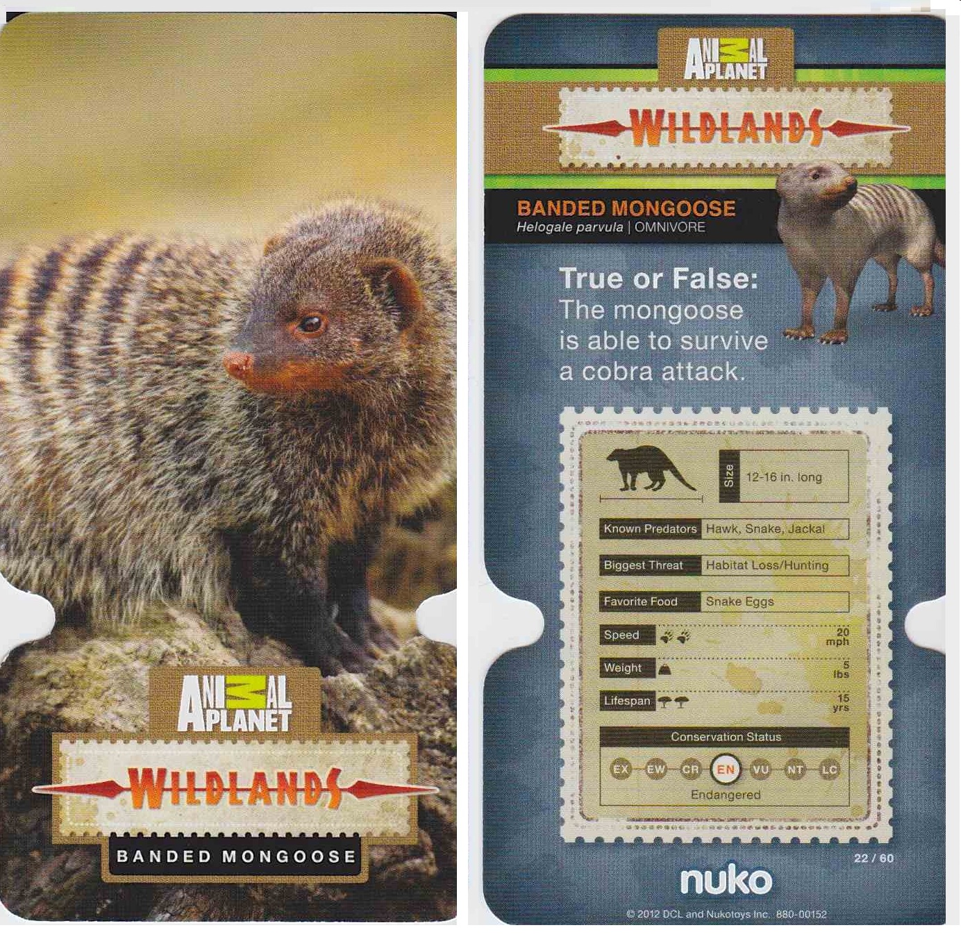 Bonggamom Finds: Animal Planet Wildlands Cards