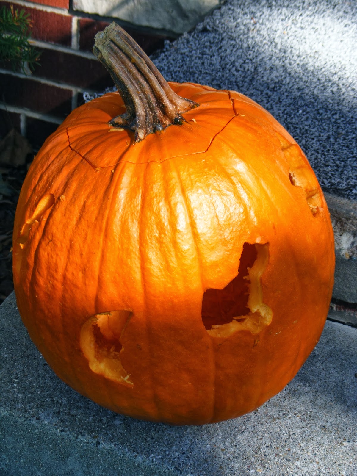 Kidspert Cookie Cutter Pumpkin