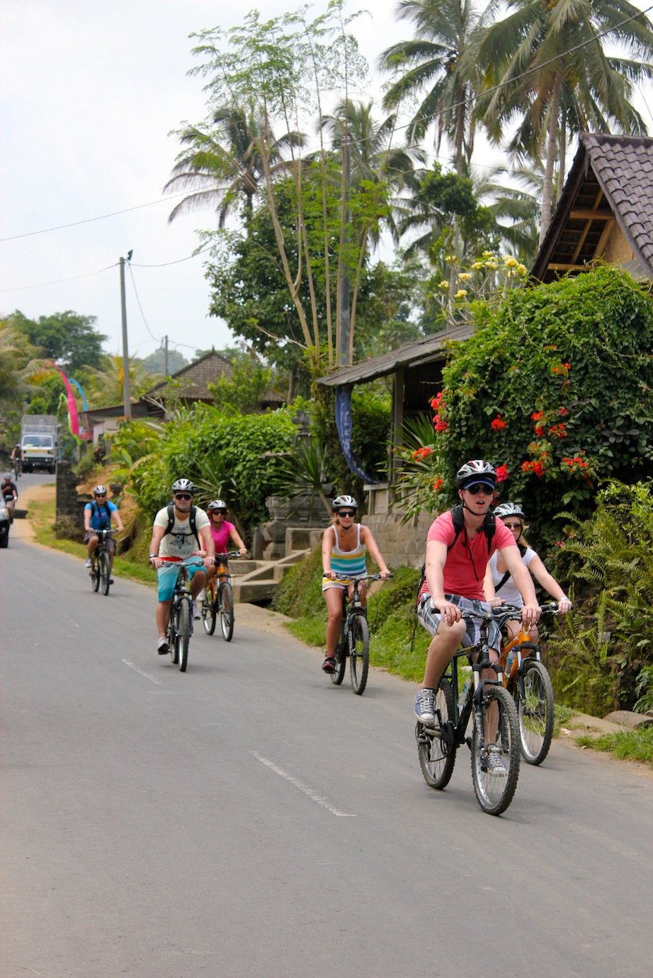 Image Result For Bali Wildlife Adventuresa Image Result For Bali Wildlife Adventuresa