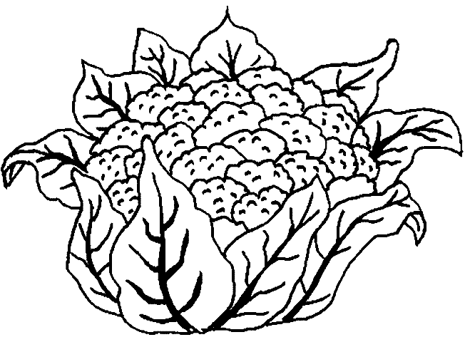 Plantas Alimenticias Para Colorear Imagui