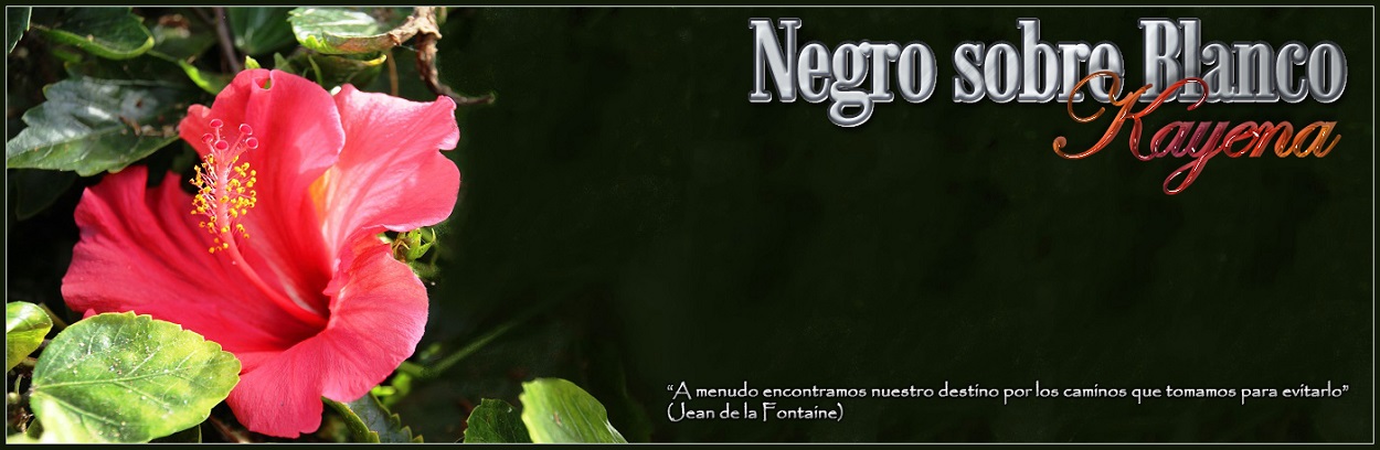 Kayena: Negro sobre blanco