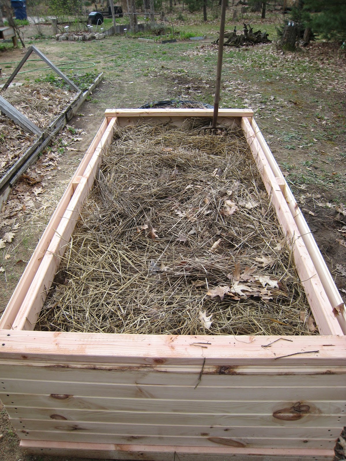 MadCityMike's Blog "Straw Filled Raised Bed....."