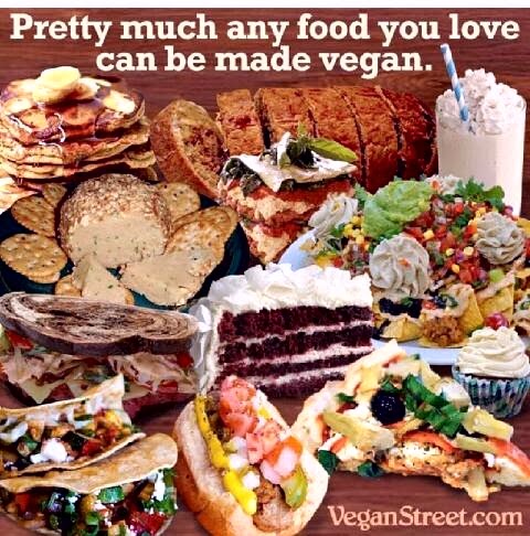 My life as a temporary vegan – climate & environment at imperial The Benefits of a Vegan Diet