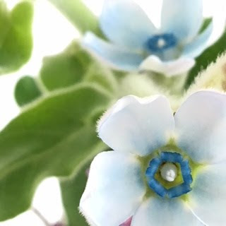 カフェモンサンルー ブログ 仙台 上杉 幸福の青い花