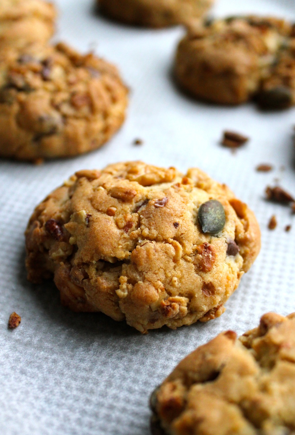 Warm&Snug&Fat Granola & Chocolate Chip Cookies
