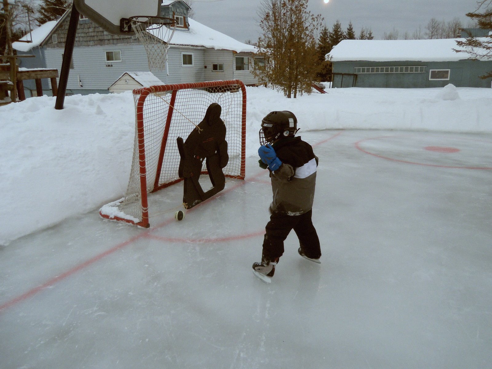 Backyard Ice Rink Tree Changed