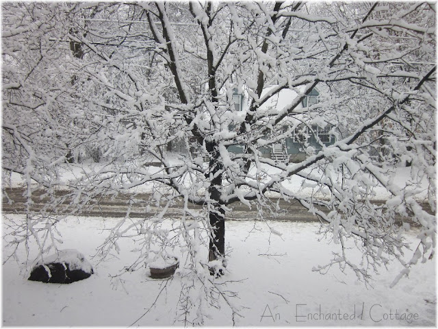 An Enchanted Cottage: March 2012