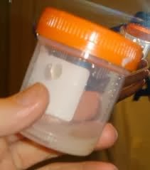 Tanda Tanda Seorang Perempuan Keluar Air Mani Kopi Lekat Perkongsian Manfaat