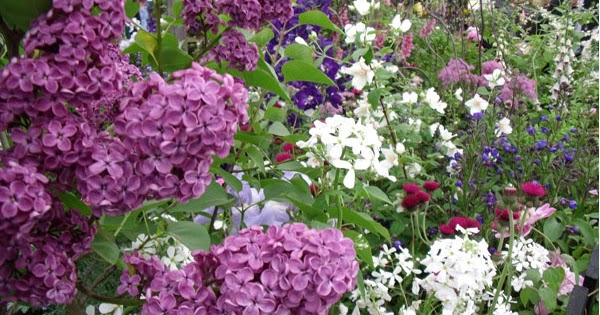 the garden: Gardens On A Roll