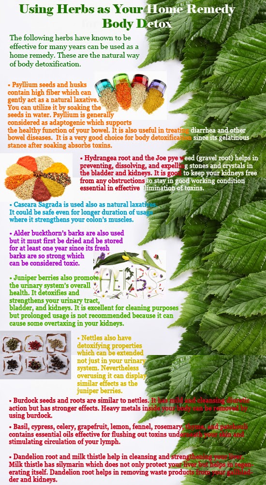 Natural Health Using Herbs as Your Home Remedy for Body Detox