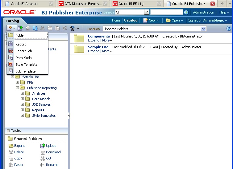 Oracle Business Intelligence Working with BI Publisher 11g Part2 Creating Data Model