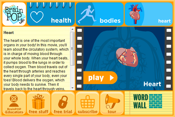 Tech Coach: The Human Heart