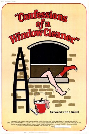 Window gutter cleaners in Chester