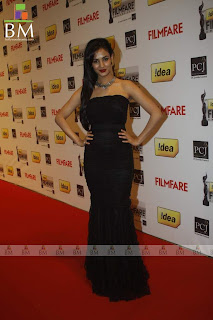 57th Idea Filmfare Awards 2011