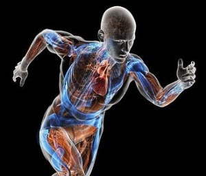 Cara Meningkatkan Metabolisme Tubuh Cara Meningkatkan Metabolisme Tubuh