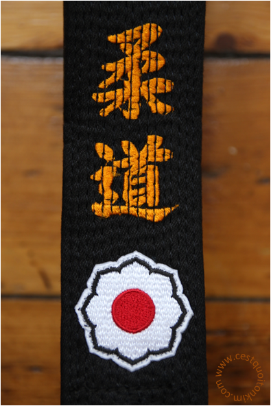 What Is The Order Of Belts In Ceinture Judo Noire Importation