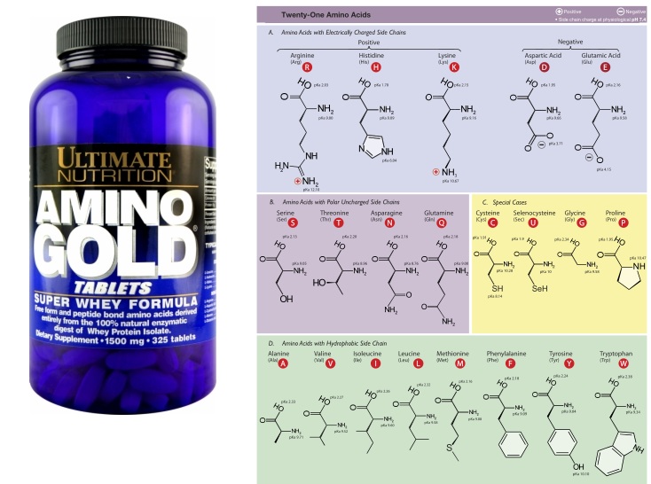 Whey protein, BCAAs, Glutamine How to invest the money? By Vic Goyaram