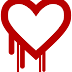 The Heartbleed Bug