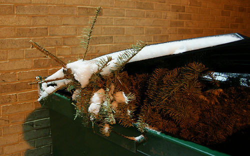 Here S A Poem To Mark The End Of The Holidays Georgia Bulletin