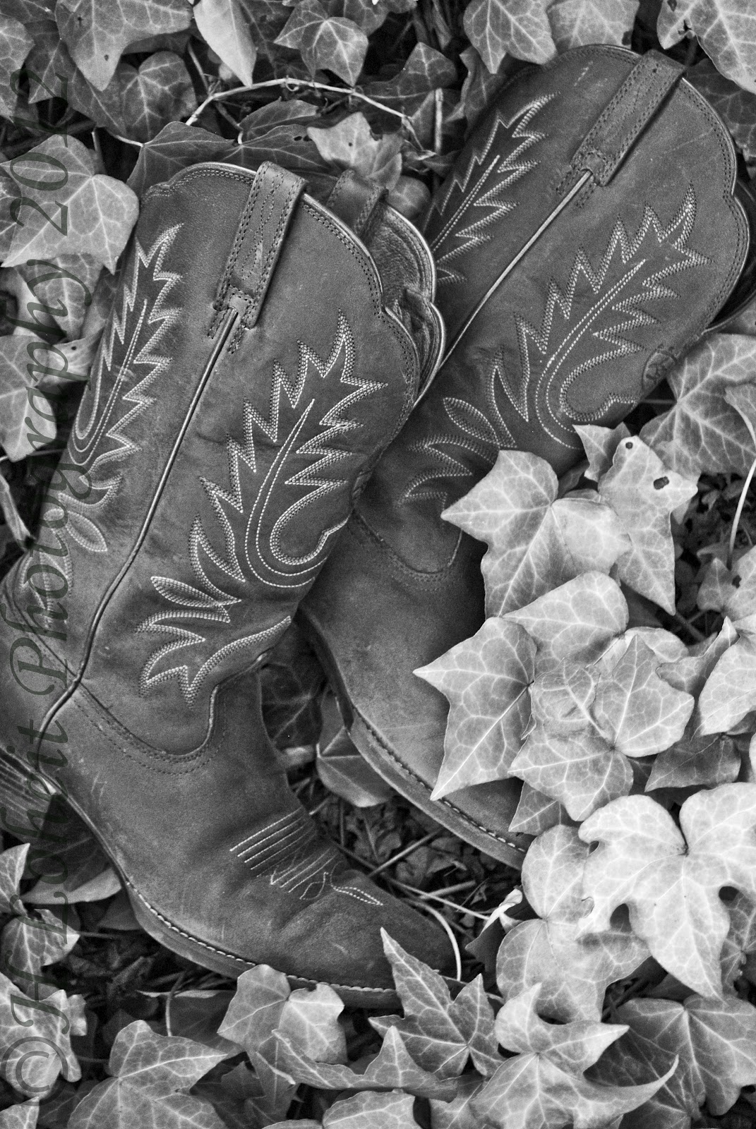 H. Loheit Photography Boots in Black and White