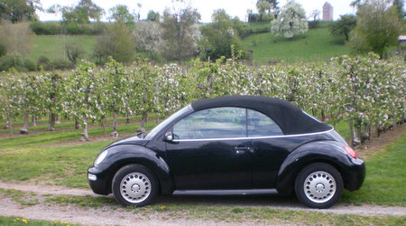 Quettehou Erlabrunn 2010