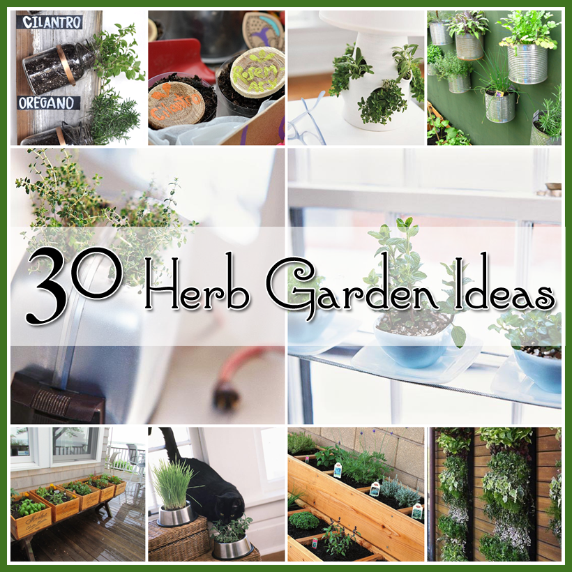 30 Great Herb Garden Ideas DIY Craft Projects