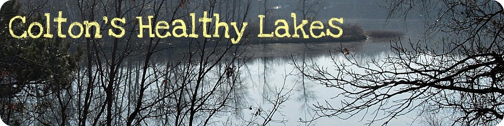 Coltons Healthy Lakes