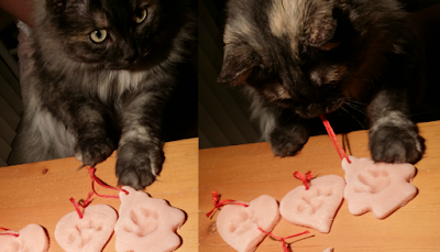 Cat Chooses Favorite Salt Dough Paw Print Keepsake