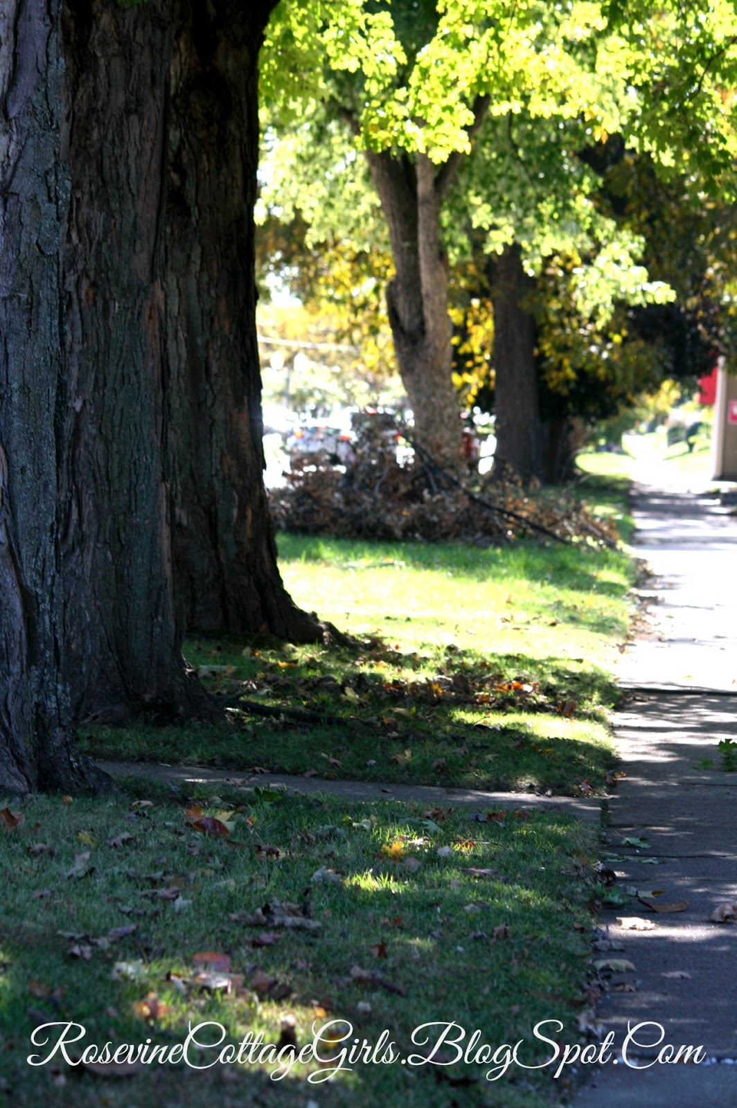 Road Trip To Henderson Kentucky