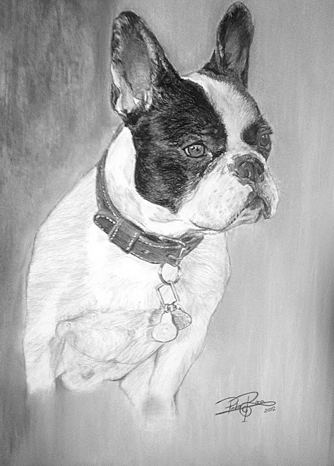 Bulldog  (49x36) Tecnica mixta