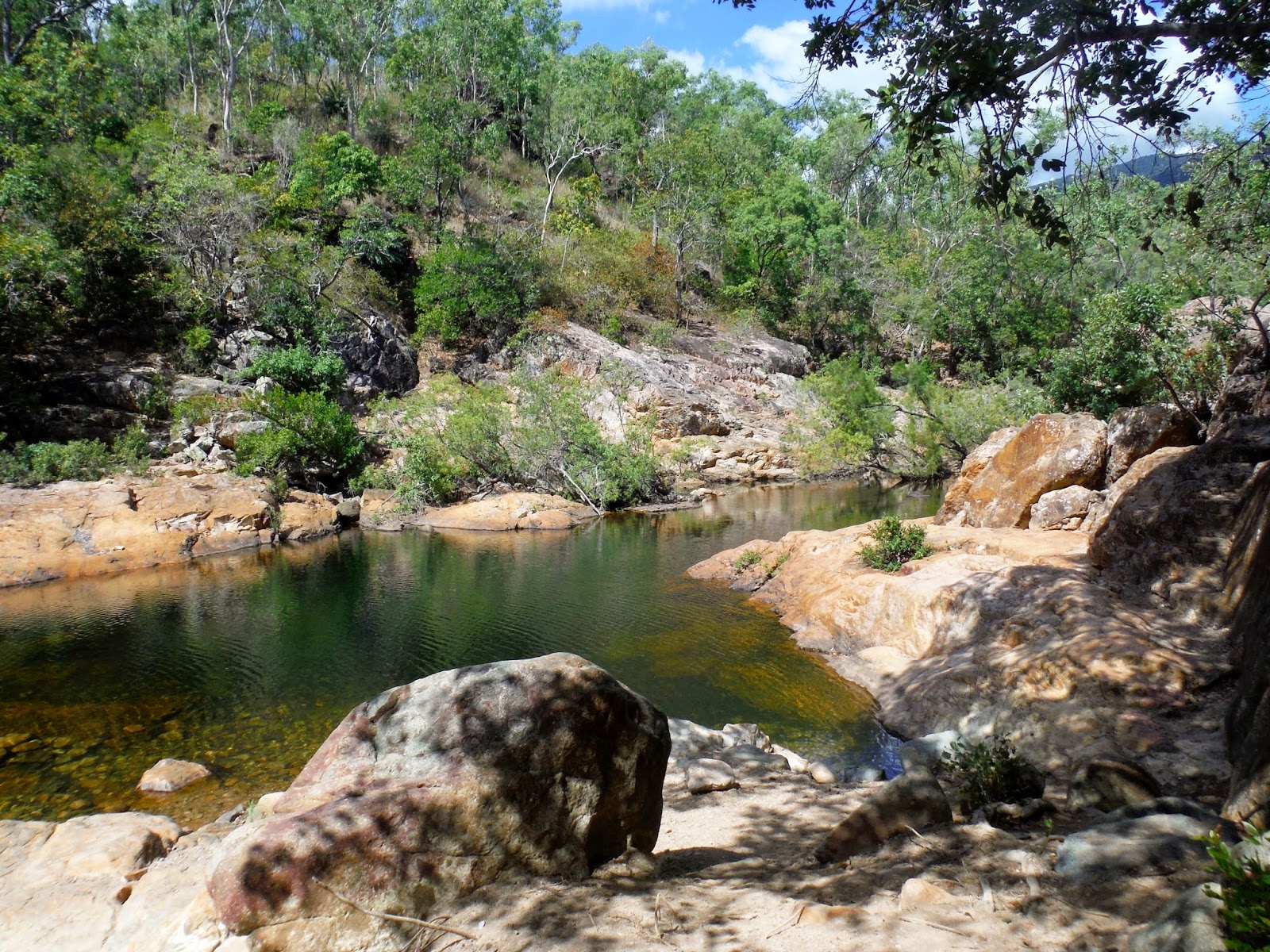 In Pursuit of The Worthwhile Alligator Creek